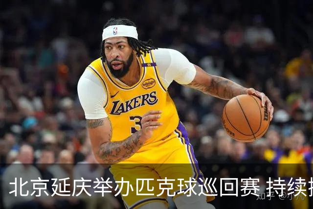北京延庆举办匹克球巡回赛 持续擦亮户外运动城市名片
