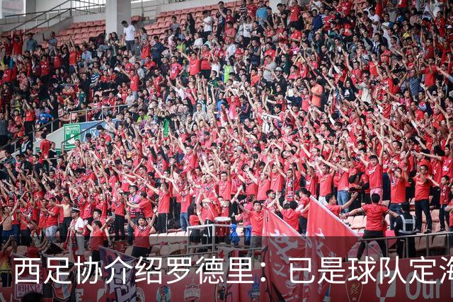 西足协介绍罗德里：已是球队定海神针，带领年轻球员向世界杯冲击